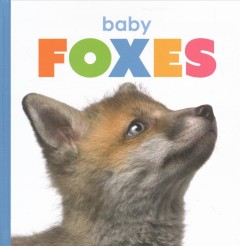 Baby foxes  Cover Image