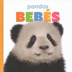 Pandas beb©Øes  Cover Image