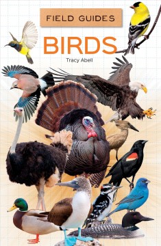 Birds  Cover Image