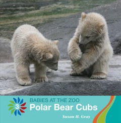 Polar bear cubs  Cover Image