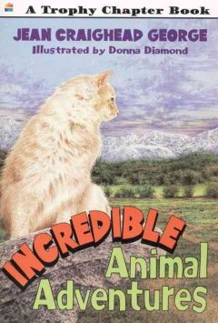 Incredible animal adventures  Cover Image