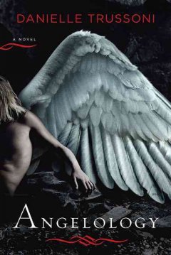 Angelology : a novel  Cover Image