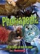 Go to record Phobiapedia : all the things we fear the most!
