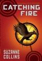 Go to record Catching fire