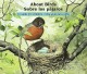 Go to record About birds : a guide for children = Sobre los pájaros : u...