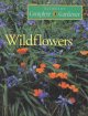 Go to record Wildflowers