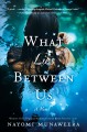 Go to record What lies between us : a novel