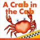 Go to record A crab in the cab