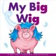 Go to record My big wig