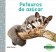 Go to record Petauros de azúcar