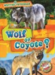 Go to record Wolf or coyote?