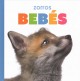Go to record Zorros beb©Øes