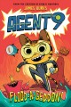 Go to record Agent 9. Flood-a-geddon!