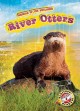 Go to record River otters
