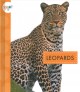 Go to record Leopards