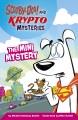 Go to record The mini mystery