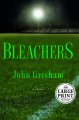 Go to record Bleachers