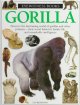 Go to record Gorilla