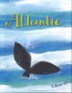 Go to record Atlantic