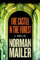 Go to record The castle in the forest : a novel